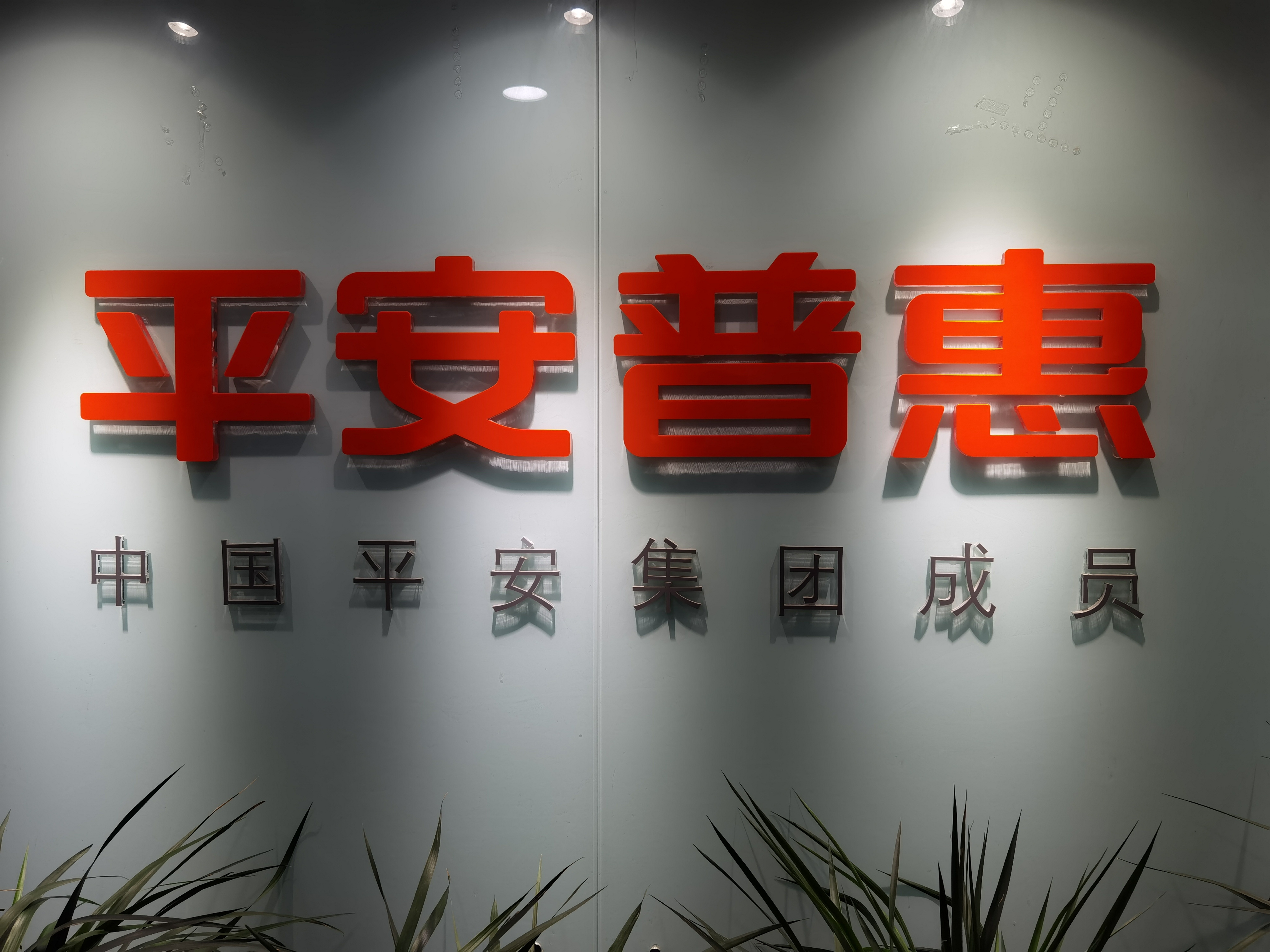 平安普惠信息服務有限公司濟南陽光新路分公司